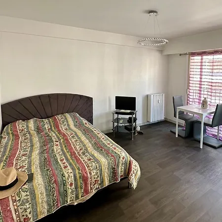Cozy Cannes Flat Near Carlton *